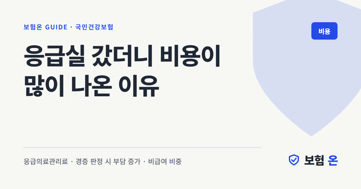 응급실 갔더니 비용이 많이 나온 이유