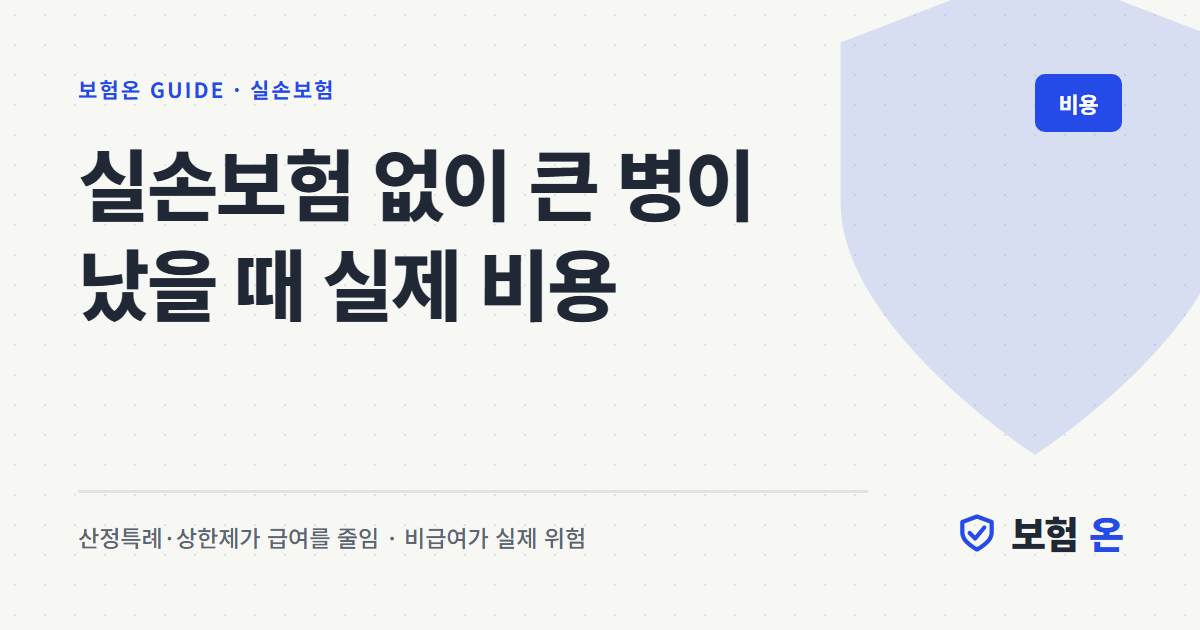 실손보험 없이 큰 병이 났을 때 실제 비용