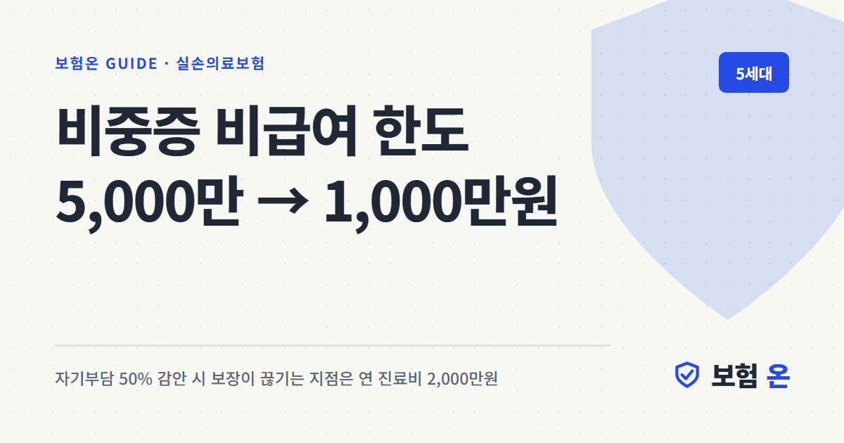 비중증 비급여 한도가 5,000만원에서 1,000만원으로