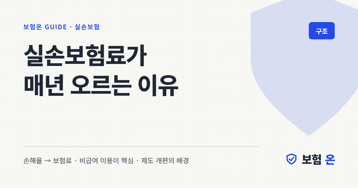 실손보험료가 매년 오르는 이유